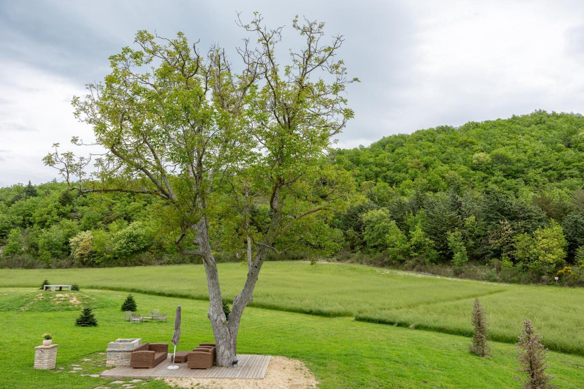 Aura Relais Hotell Urbino Exteriör bild